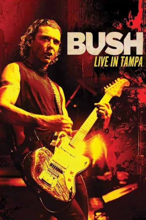 Bush: Live In Tampa